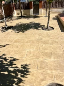 proyecto montserrat alejandro pavi 4