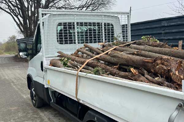 retiro de poda y residuos verdes