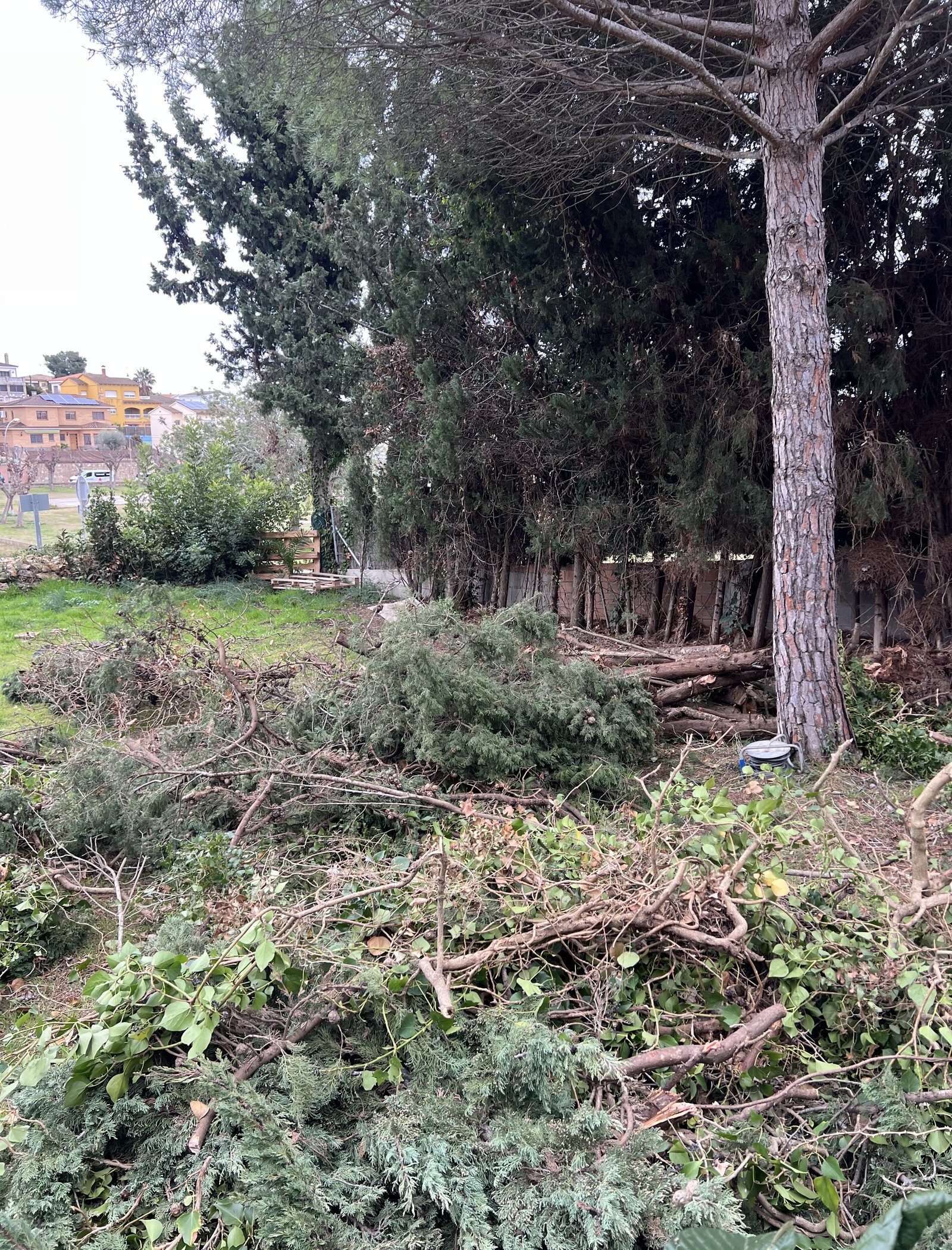 reforma de muro perimetral y colocación de valla metálica en cunit 2