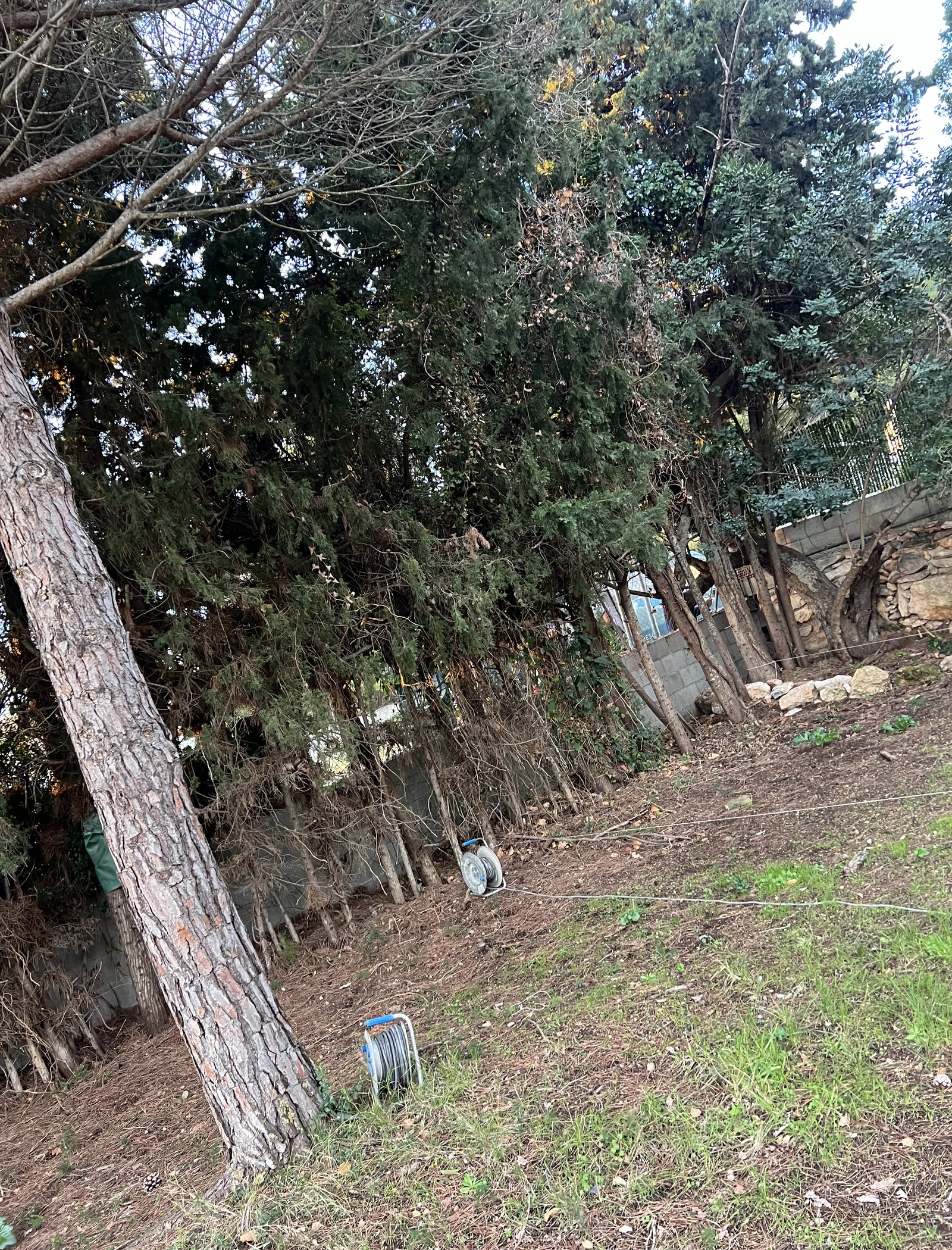 reforma de muro perimetral y colocación de valla metálica en cunit